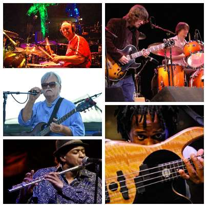 Jam Cruise Reveals Masters Camp At Sea Details