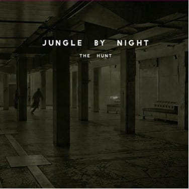 RecommNeds | Jungle By Night