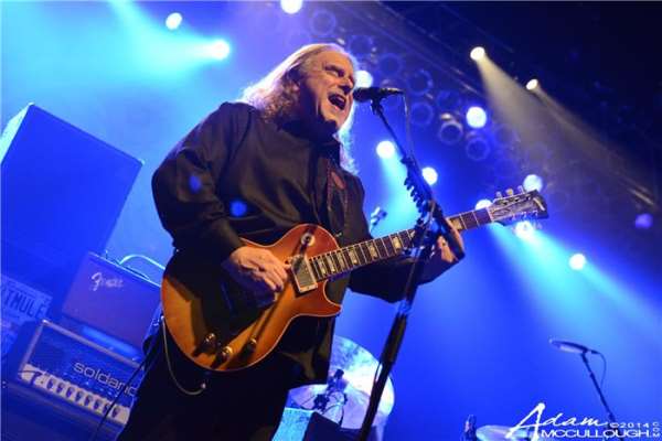 Cover Alert | Gov't Mule Covers Little Feat & Grateful Dead