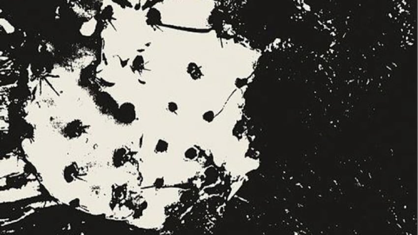 RecommNeds | The Myrrors and Moth Effect