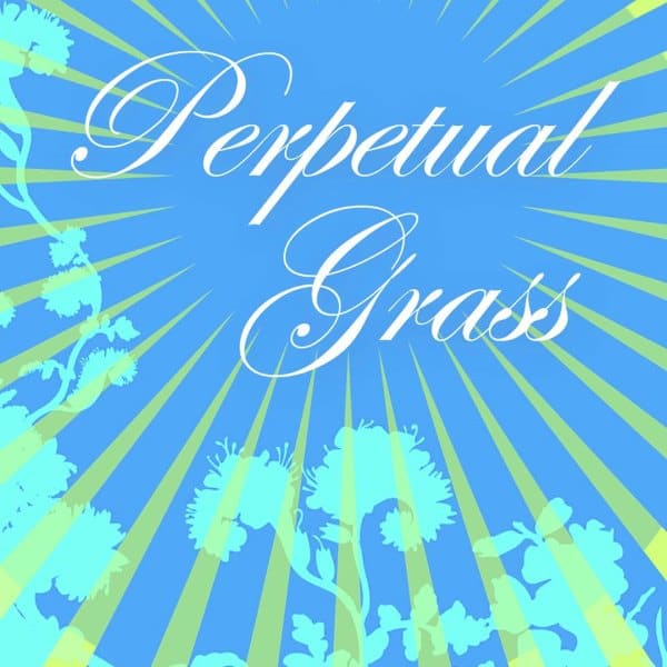Perpetual Grass Shares Album & Roses Are Free Cover