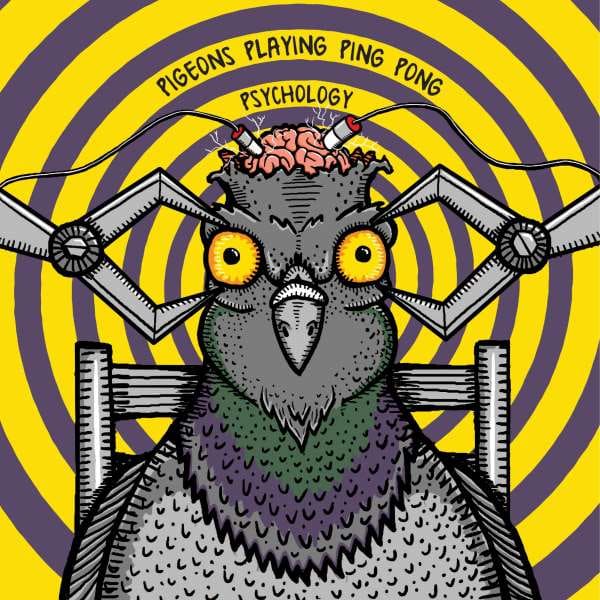 Premiere | Pigeons Playing Ping Pong - Zydeko