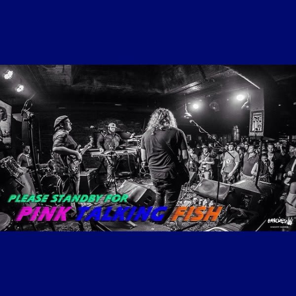 Couch Tour Alert | Pink Talking Fish Live From AURA