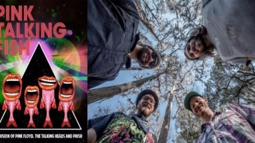Couch Tour Alert | Free Dopapod & Pink Talking Fish Webcasts