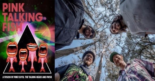 Couch Tour Alert | Free Dopapod & Pink Talking Fish Webcasts