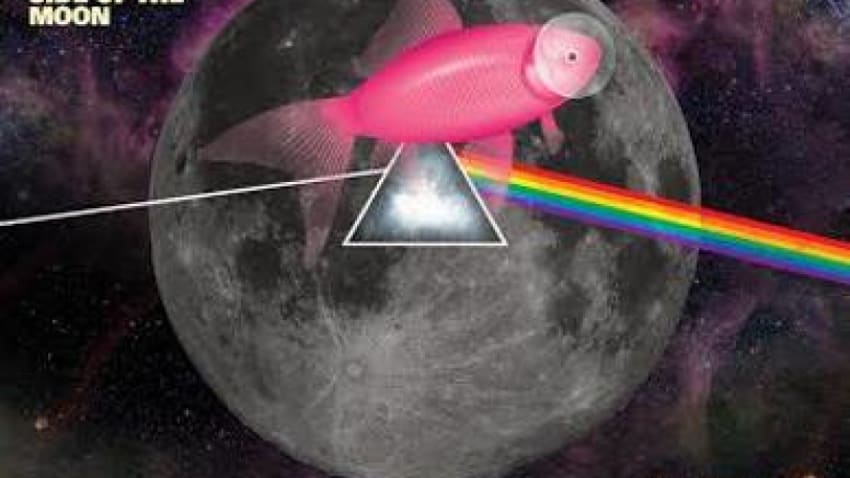 Pink Talking Fish Announce Special Concept For NYC Show