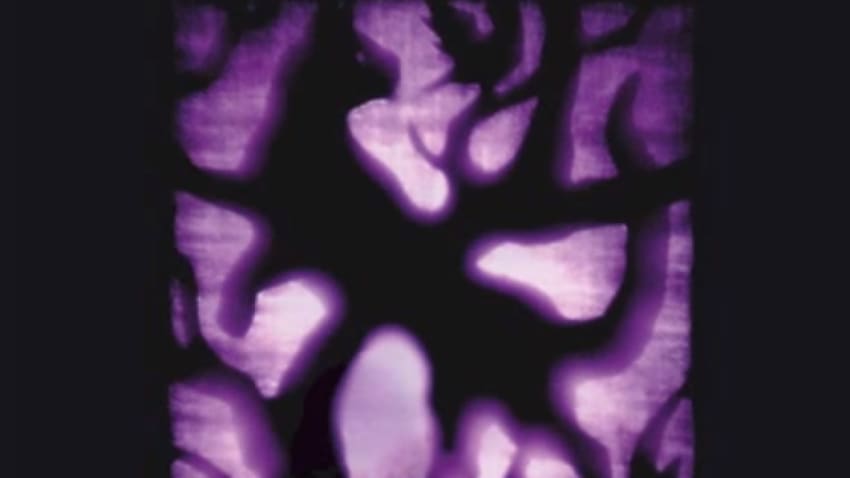 Pullin' 'Tubes | Mazzy Star Returns With California