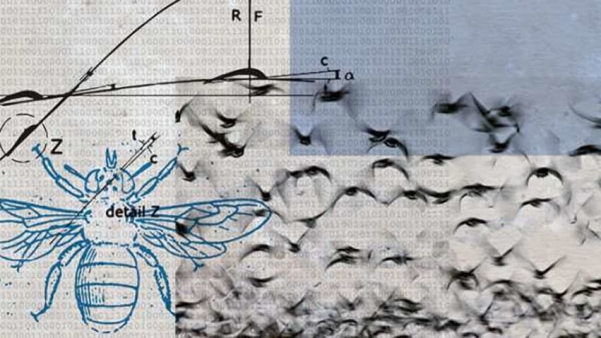 Kyle Hollingsworth Announces New Album | Speed Of Life