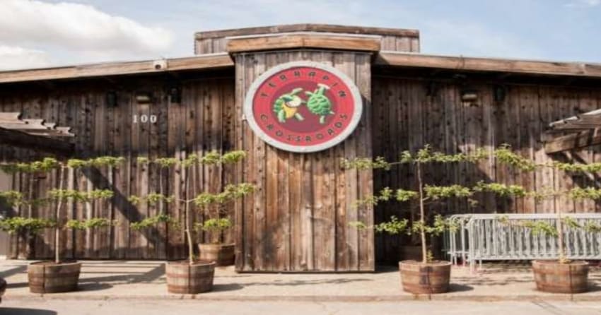 Terrapin Crossroads To Host Cinco De Mayo House Party