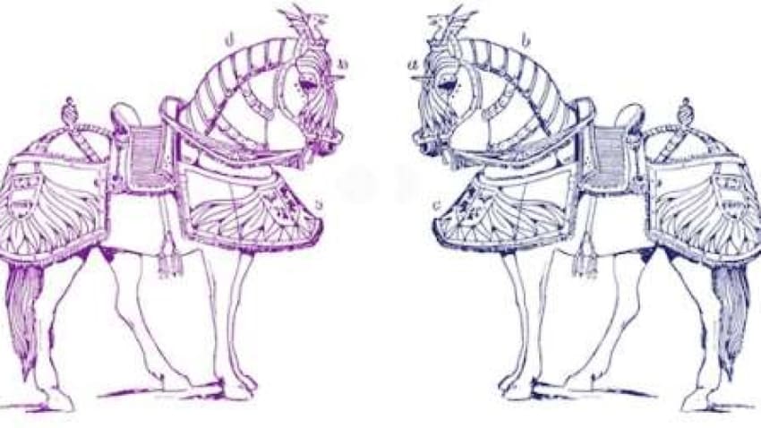 Couch Tour Alert | Heavy Pets Live From AURA Studios