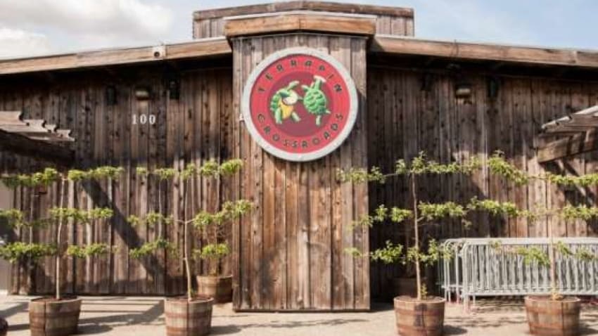 Al Schnier To Jam With Phil Lesh & Terrapin Family Band