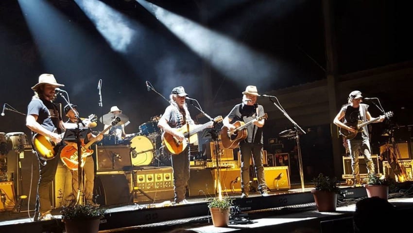 willieneil instagram