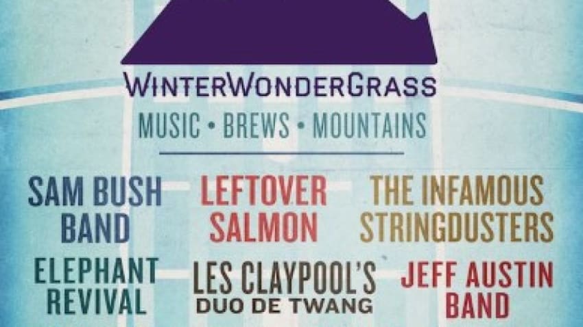 WinterWonderGrass 2015 Lineup Announcement