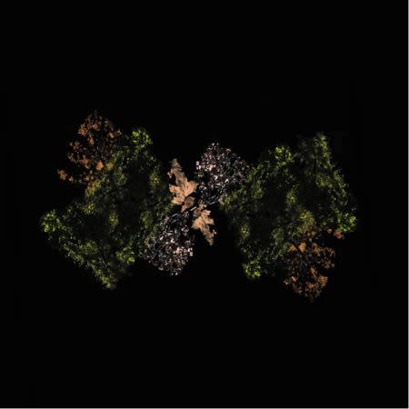RecommNeds | Mark McGuire