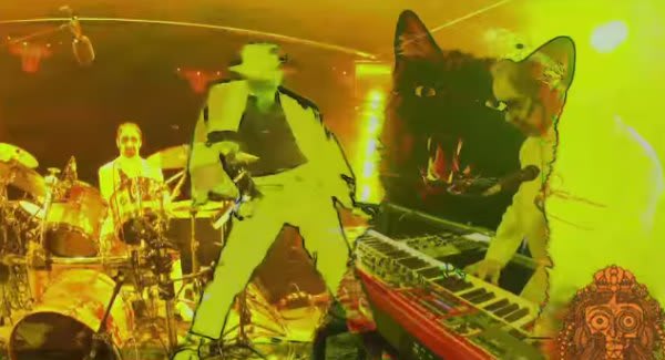 Fan-Made Video | Phish Chilling
