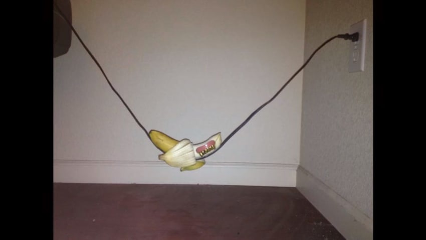 Death Grips Claypool Sceengrab