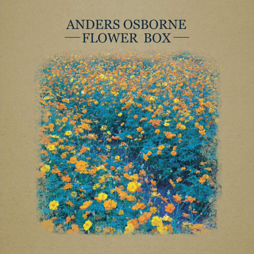 Flower Box Cover