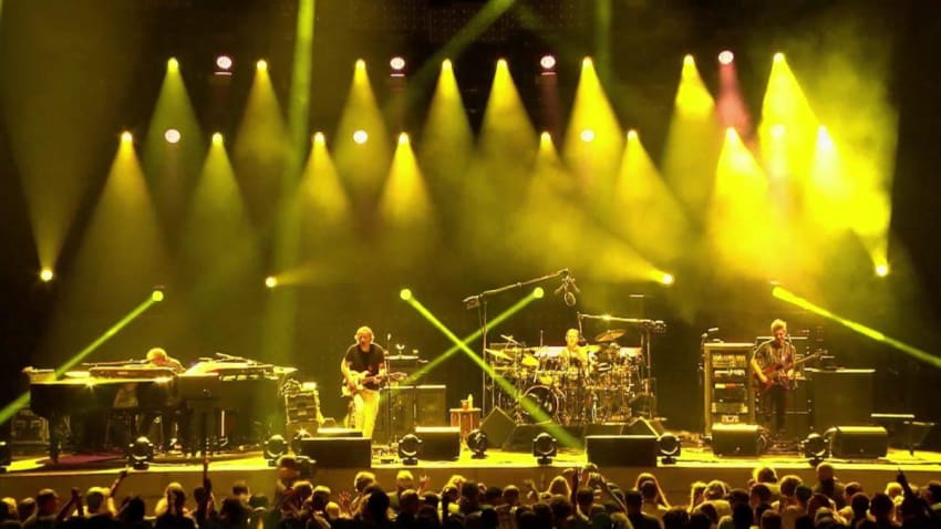 Phish Chula Crop 4