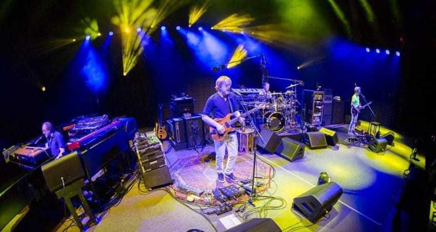 Phish Hartford Rene Crop
