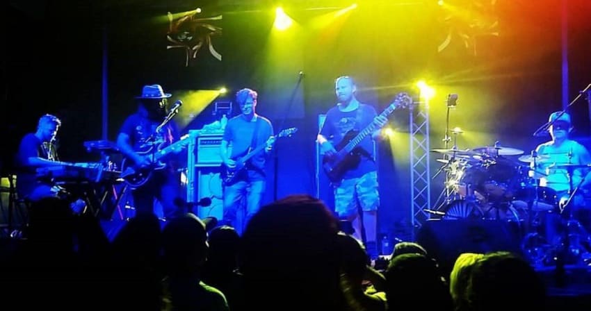 Heavy Pets Twiddle Crop