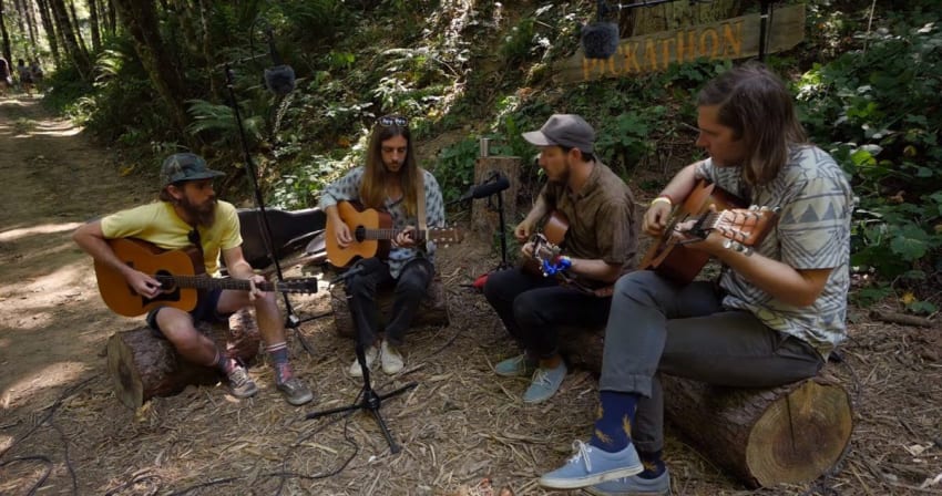 Vetiver Pickathon Crop