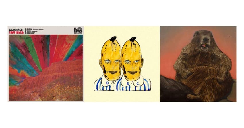 Jam Bands RecommNeds Albums