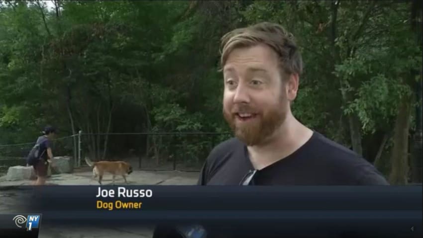 jradog