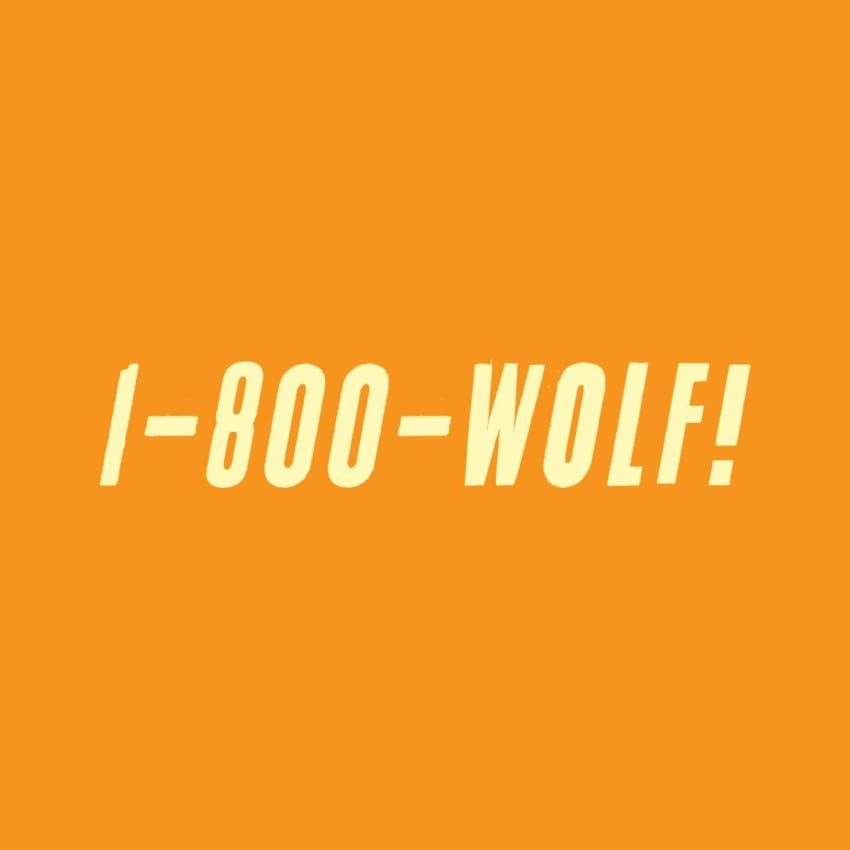 1800-wolf-album-cover