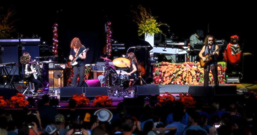 mmj-twin-limb-screengrab-crop