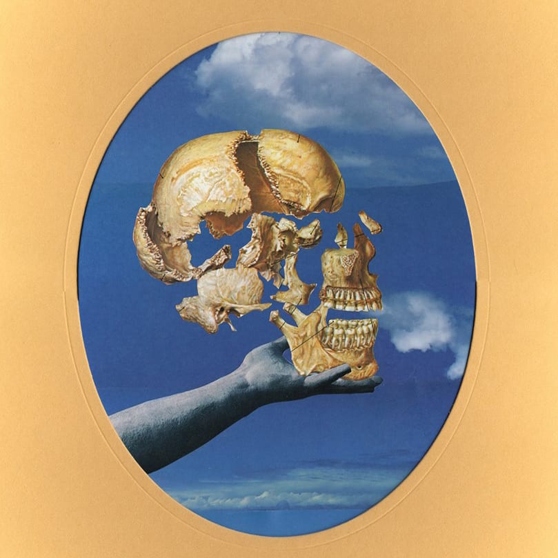 skullflower-cover