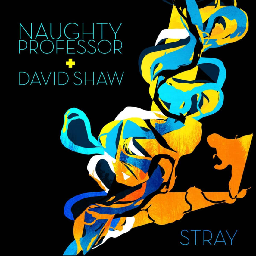 naugh-stray-cover