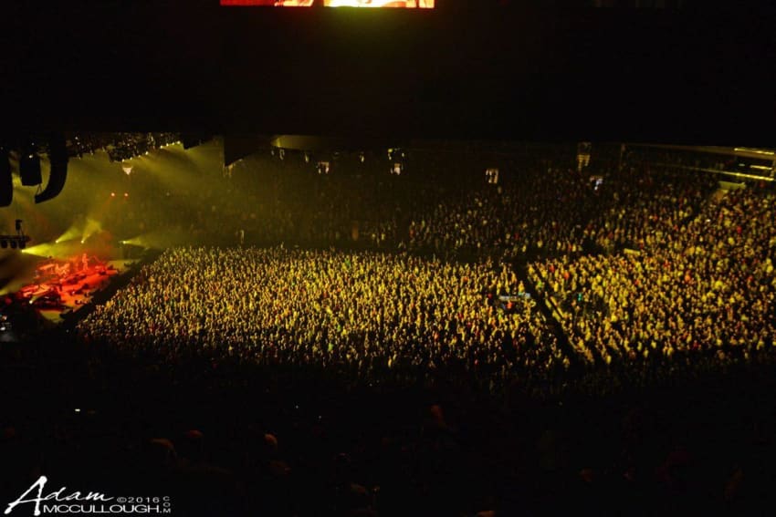 Crowd MSG McCullough