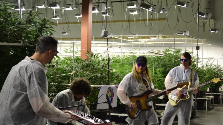 'The Lighthouse Sessions' Hosts Electric Beethoven At Terrapin Care Station