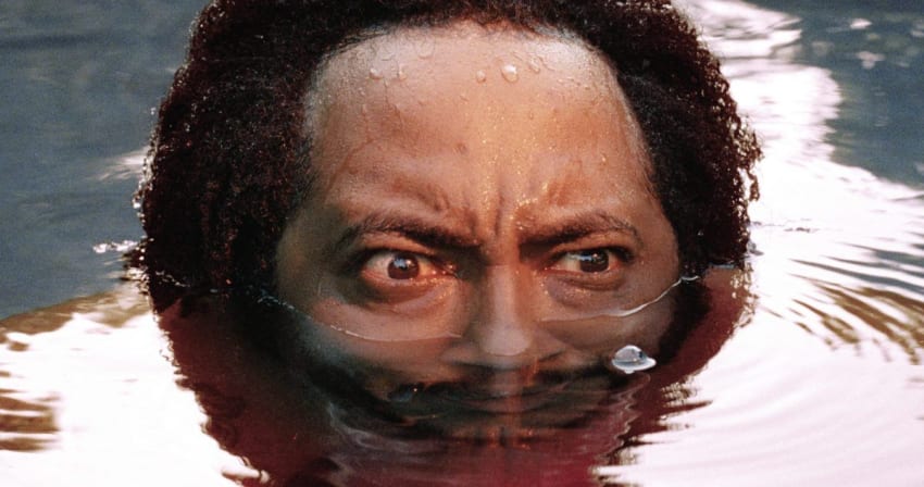 Thundercat Drunk Crop
