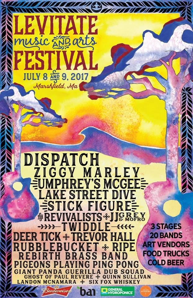 levitate 2017 admat