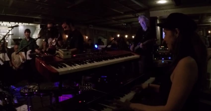 Holly Phil & Friends Dark Star Crop