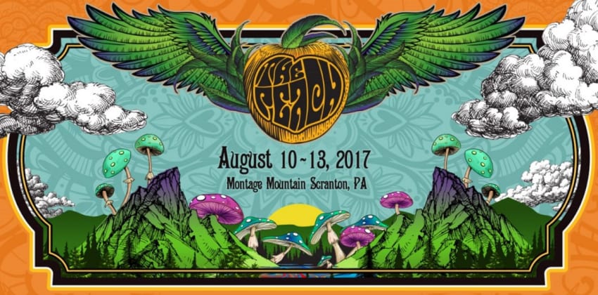 Peach 2017 Crop