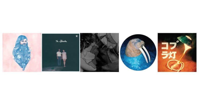 RecommNeds EPs Albums Crop
