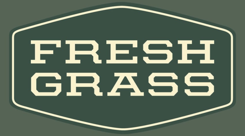 freshgrass-2017-featured