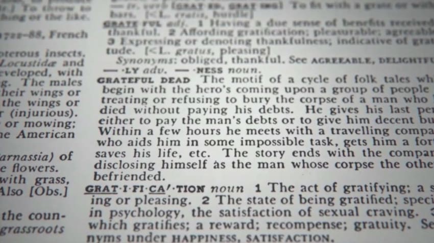 grateful dead dictionary screenshot
