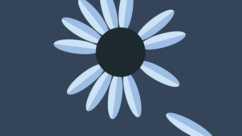 Yonder Mountain String Band Announces New Album