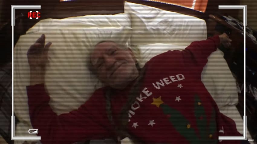 Willie Nelson Not Dead Screengrab