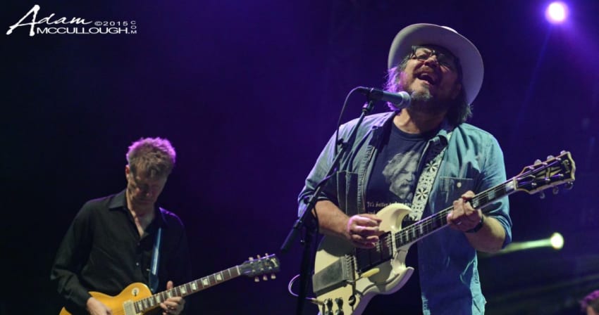 wilcomcculloughcrop4