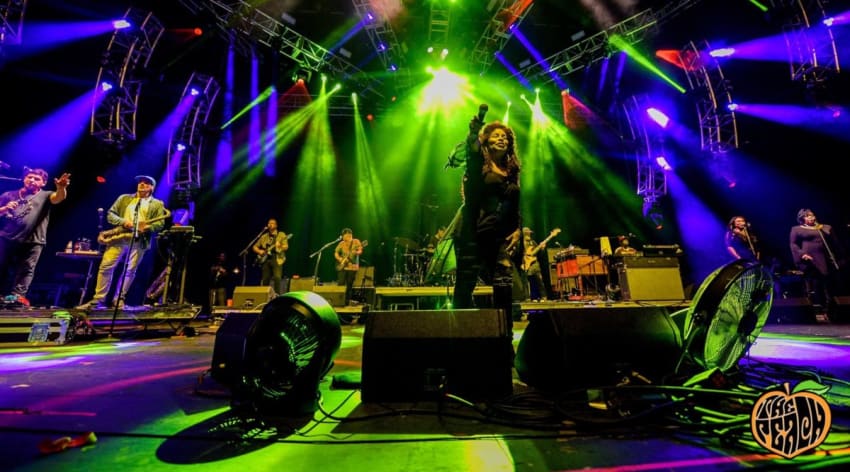 Lettuce Chaka Khan Peach