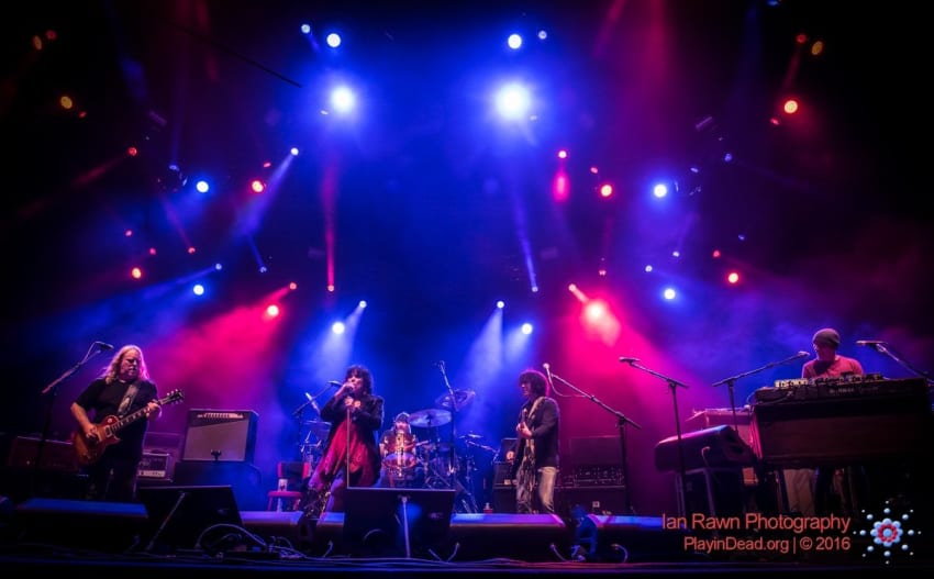 Mule Ann Wilson Full Size Rawn