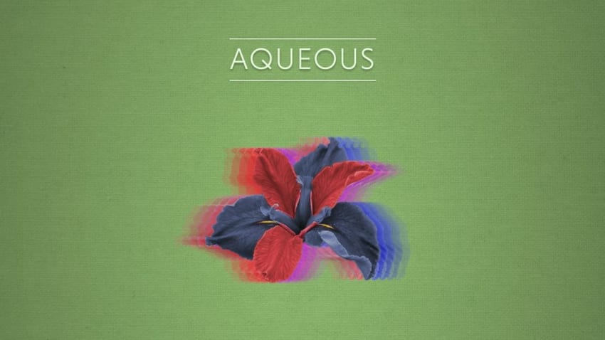 Aqueous Shares New Single ‘Weight Of The Word’
