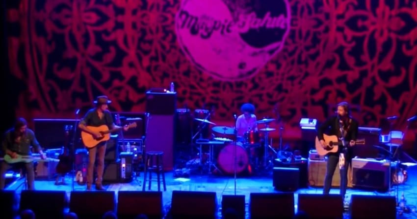 Magpie Fonda Screengrab Crop