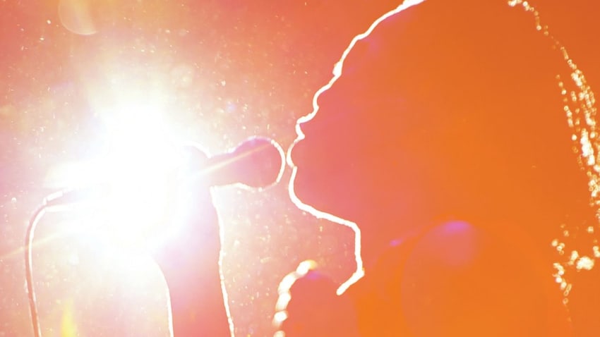 Daptone Records Announces Sharon Jones & The Dap-Kings' Final Studio Album ‘Soul Of A Woman’