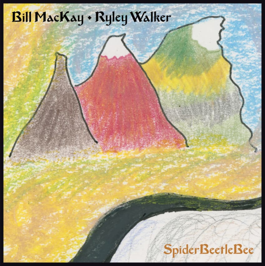 SpiderBeetleBee Cover