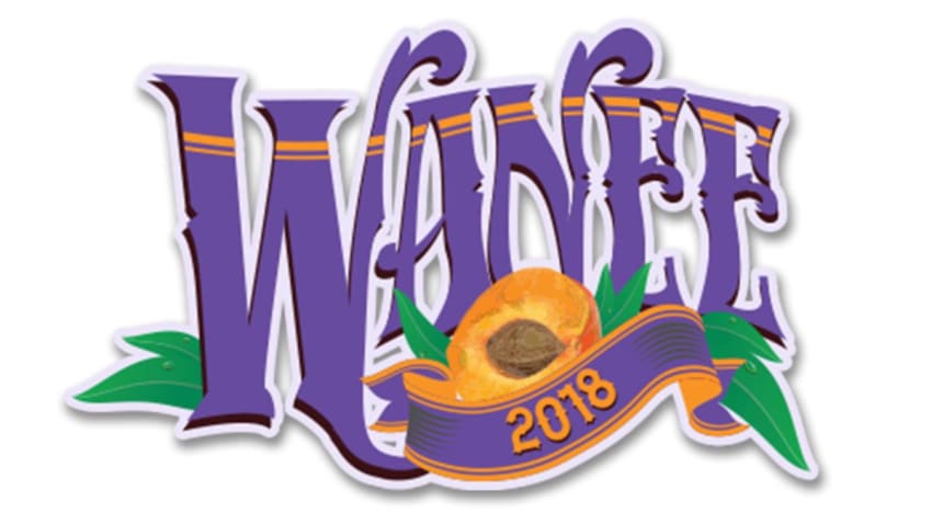 Wanee Music Festival